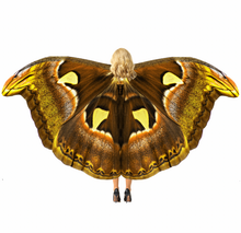 Load image into Gallery viewer, Moth Isis Wings