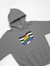 Load image into Gallery viewer, Ally Hoodies