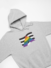 Load image into Gallery viewer, Ally Hoodies