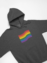 Load image into Gallery viewer, Gay Pride Hoodies