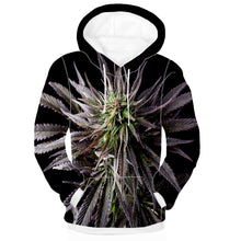 Load image into Gallery viewer, Cannabis Hoodies South Africa