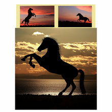 Load image into Gallery viewer, Horse Bedding South Africa