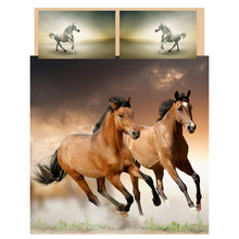 Load image into Gallery viewer, Horse Bedding South Africa