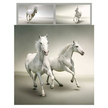 Load image into Gallery viewer, Horse Bedding South Africa