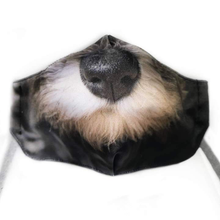 Load image into Gallery viewer, Domestic Animal Masks
