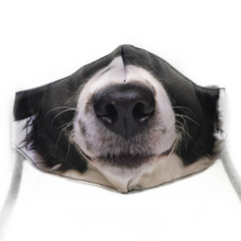 Load image into Gallery viewer, Domestic Animal Masks
