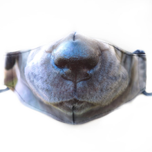 Load image into Gallery viewer, Domestic Animal Masks