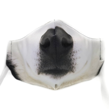 Load image into Gallery viewer, Domestic Animal Masks