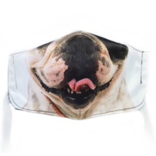 Load image into Gallery viewer, Domestic Animal Masks