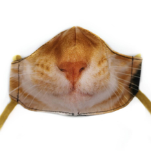 Load image into Gallery viewer, Domestic Animal Masks