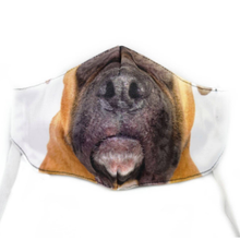 Load image into Gallery viewer, Domestic Animal Masks