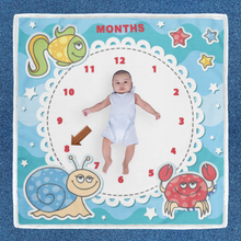 Load image into Gallery viewer, Customised Baby Blankets
