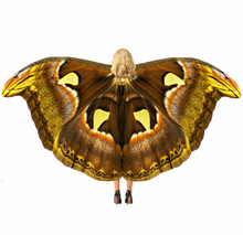 Load image into Gallery viewer, Moth Isis Wings
