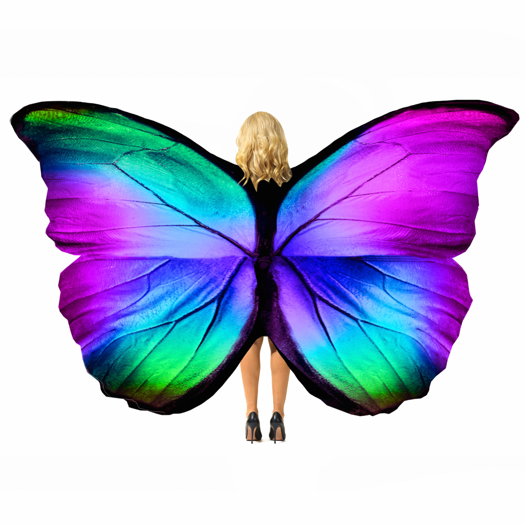 Colourful Butterfly Wings