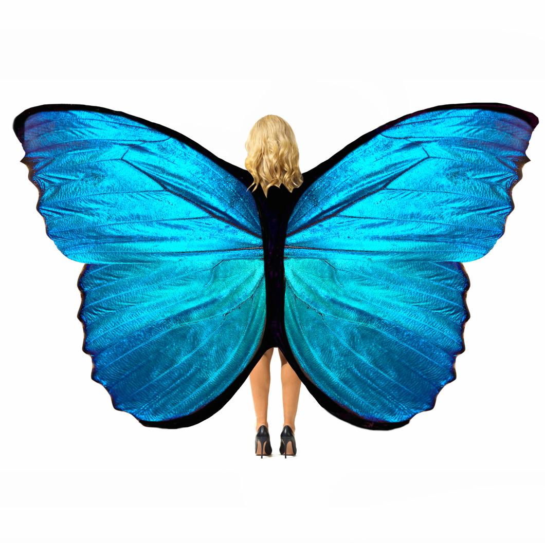 Sold Colour Butterfly Wings