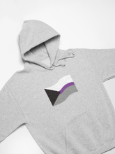 Load image into Gallery viewer, Demisexual Hoodies
