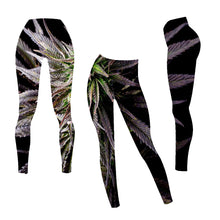 Load image into Gallery viewer, Cannabis Leggings South Africa
