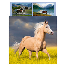 Load image into Gallery viewer, Horse Bedding South Africa

